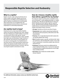our Responsible Reptile Selection Handout