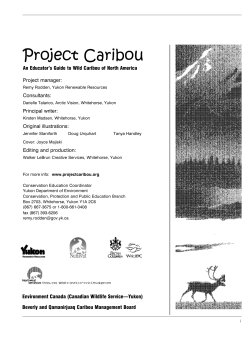 Project Caribou