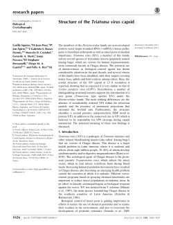 Structure of the Triatoma virus capsid