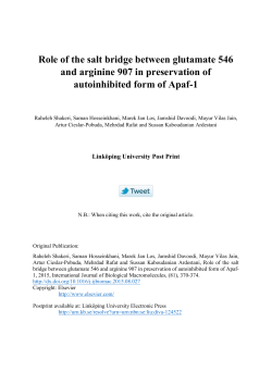 Role of the salt bridge between glutamate 546 and arginine 907 in