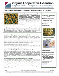 Common Foodborne Pathogen: Staphylococcus