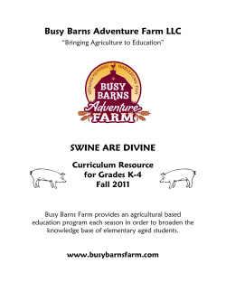 Busy Barns Adventure Farm LLC SWINE ARE DIVINE