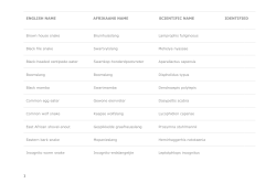 ENGLISH NAME AFRIKAANS NAME SCIENTIFIC NAME