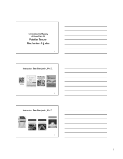 Patellar Tendon Mechanism Injuries Patellar