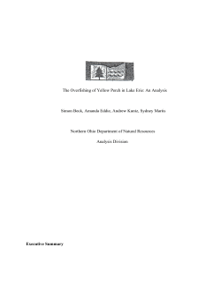 The Overfishing of Yellow Perch in Lake Erie