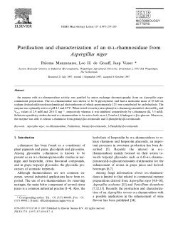 Purification and characterization of an &alpha;‐l‐rhamnosidase from