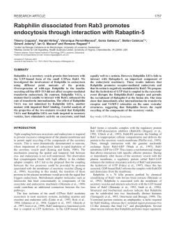 Involvement of Rabphilin in endocytosis