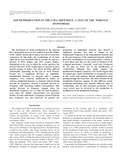 sound production in the collared dove: a test of the `whistle` hypothesis
