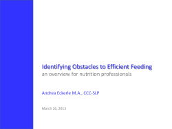 Identifying Obstacles to Efficient Feeding