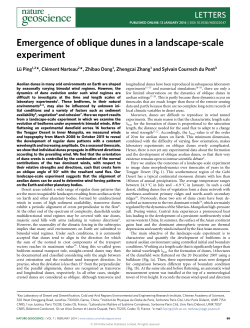 Emergence of oblique dunes in a landscape