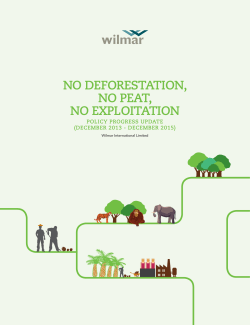 no deforestation, no peat, no exploitation