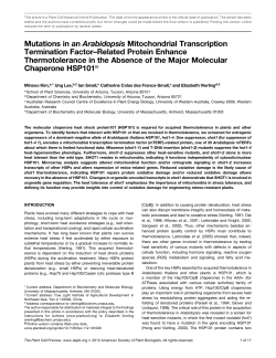 Mutations in an Arabidopsis Mitochondrial