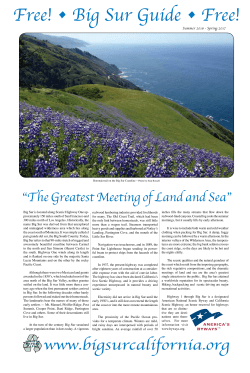 Free! &bull; Big Sur Guide &bull; Free!