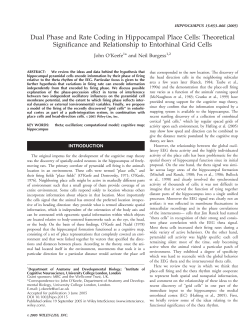 Dual phase and rate coding in hippocampal place cells: Theoretical