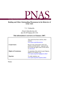 Army Ants Raiding and Other Outstanding Phenomena in the