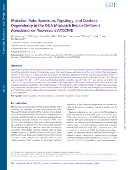 Mutation Rate, Spectrum, Topology, and Context