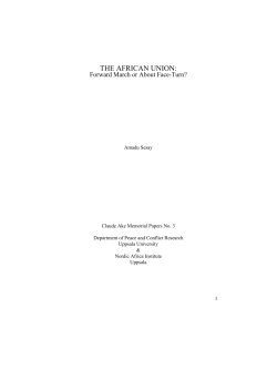 THE AFRICAN UNION: