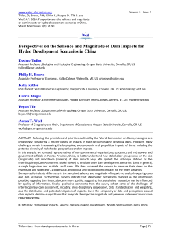 Perspectives on the Salience and Magnitude of Dam Impacts for