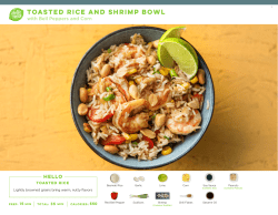 toasted rice and shrimp bowl