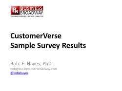 CustomerVerse - Sample Report
