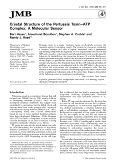 Crystal Structure of the Pertussis Toxin&ndash;ATP Complex: A Molecular