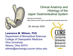 Clinical Anatomy and Histology of the Upper Gastrointestinal System