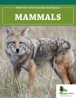 pre/post site teacher materials - Forest Preserve District of Will County