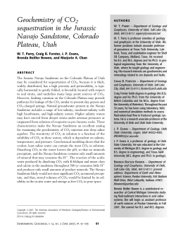 Geochemistry of CO2 sequestration in the Jurassic Navajo