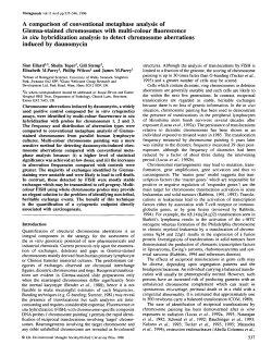 A comparison of conventional metaphase