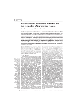 Autoreceptors, membrane potential and the regulation of transmitter