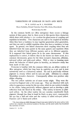Castle, W. E., and Wachter, W. L. 1924. Variations of Linkage in Rats