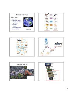 Ecosystem Ecology Keystone Species