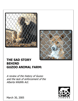 the sad story behind guzoo animal farm