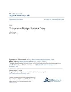 Phosphorus Budgets for Your Dairy
