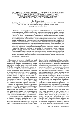 and macgillivray`s (o. tolmiei) warblers