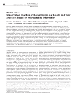 Conservation priorities of Iberoamerican pig breeds and
