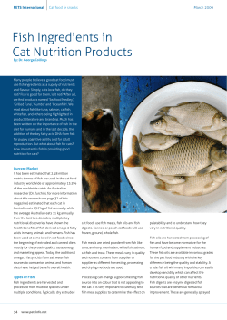 Fish Ingredients in Cat Nutrition Products