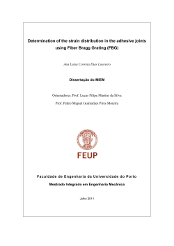 Determination of the strain distribution in the adhesive joints using