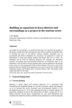 Building an aquarium in Koya districts and surroundings