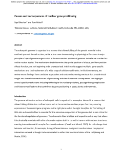 Causes and consequences of nuclear gene positioning