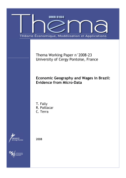 Economic Geography and Wages in Brazil: Evidence from