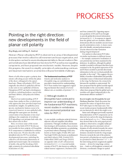 Pointing in the right direction: new developments in the field of