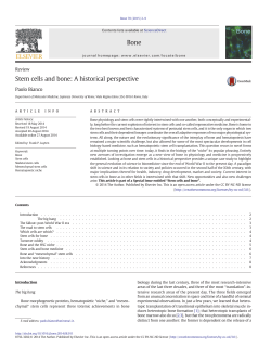 Stem cells and bone: A historical perspective