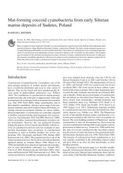 Mat-forming coccoid cyanobacteria from early Silurian marine