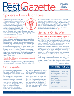 Spiders &ndash; Friends or Foes - Pro