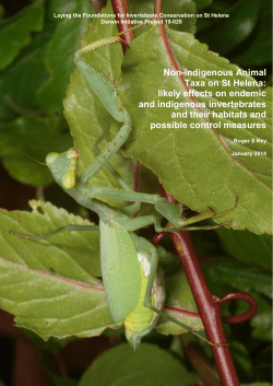 Non-indigenous Animal Taxa on St Helena: likely effects on