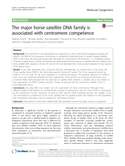 The major horse satellite DNA family is associated with centromere