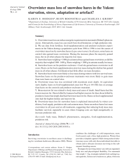 Overwinter mass loss of snowshoe hares in the