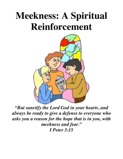 Meekness: A Spiritual Reinforcement
