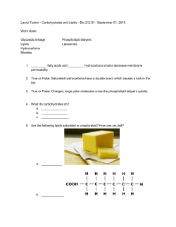 Laura Tucker Carbohydrates and Lipids Bio 212 SI September 01